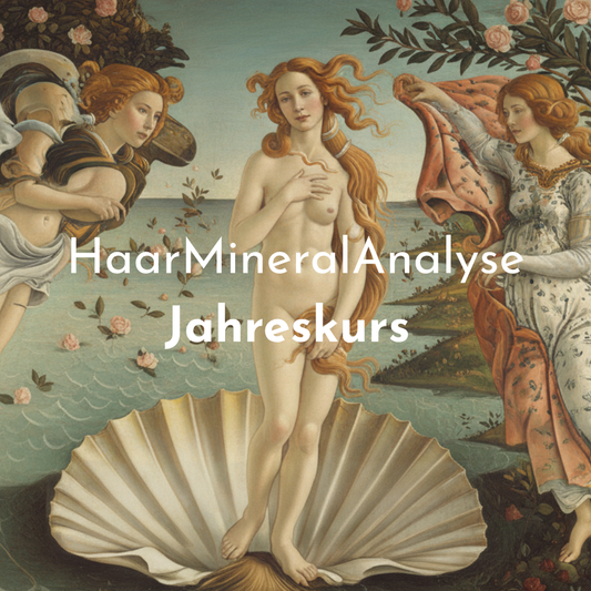 Jahreskurs – ein Jahr in Balance