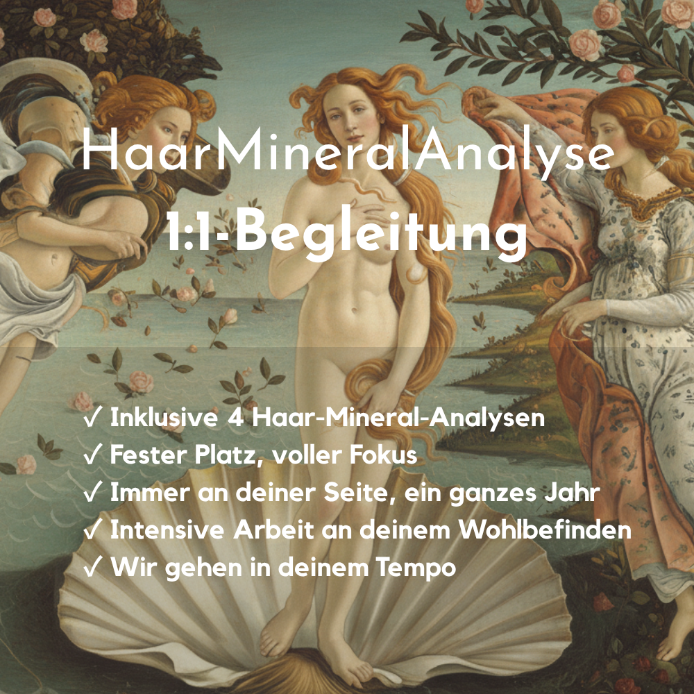 1:1-Begleitung – zwölf Monate
