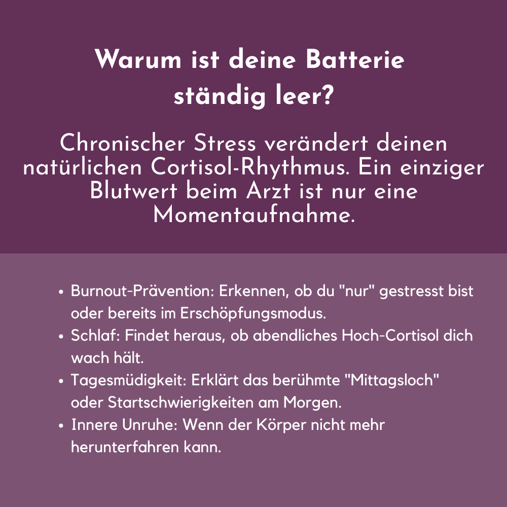 Hormone analysis (stress, energy &amp; sleep)