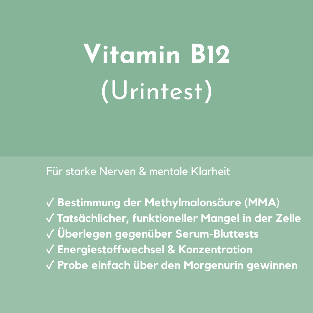 Vitamin B12 urine tests