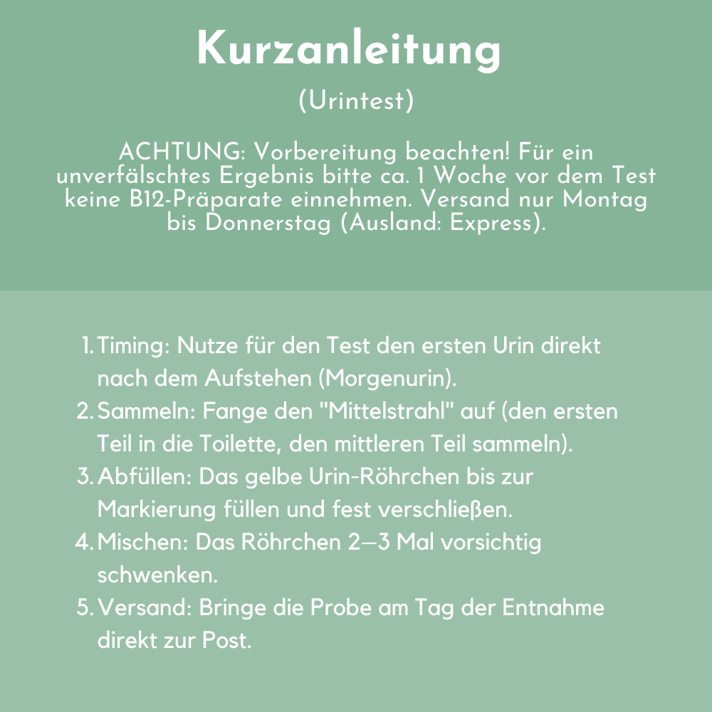 Vitamin B12 urine tests