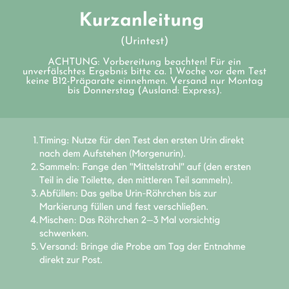 Vitamin B12 urine tests